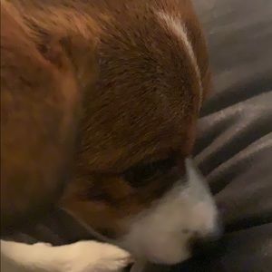 Meet your Posher, Ari